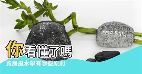 買樓風水|【買房子風水】買房風水學有哪些原則 